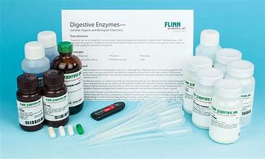 Enzyme Kit