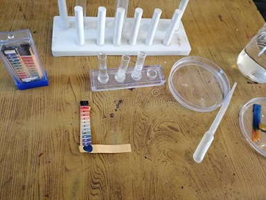 Water Test Kit